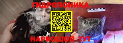 крисы Кунгур