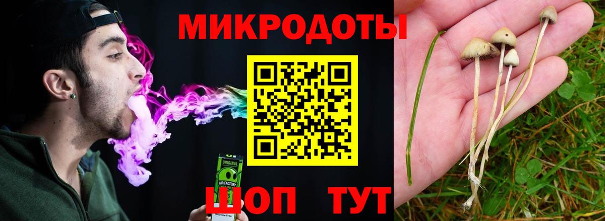 Шали  Галлюциногенные грибы прущие грибы  Псилоцибиновые грибы Psilocybe  что такое наркотик  Вход с VPN 